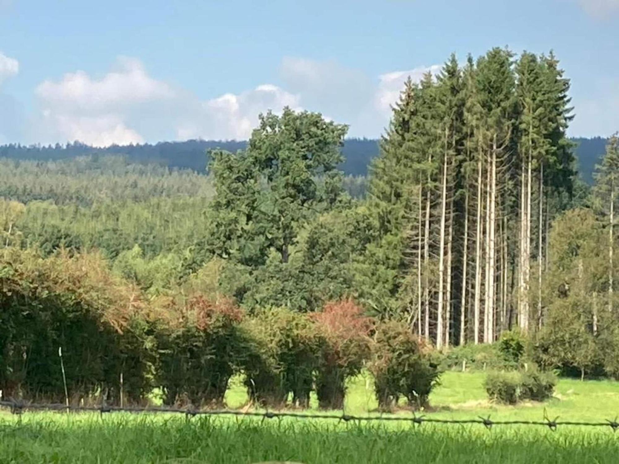 Quaint Cottage In Mont Near High Fens Nature Park Malmedy Luaran gambar